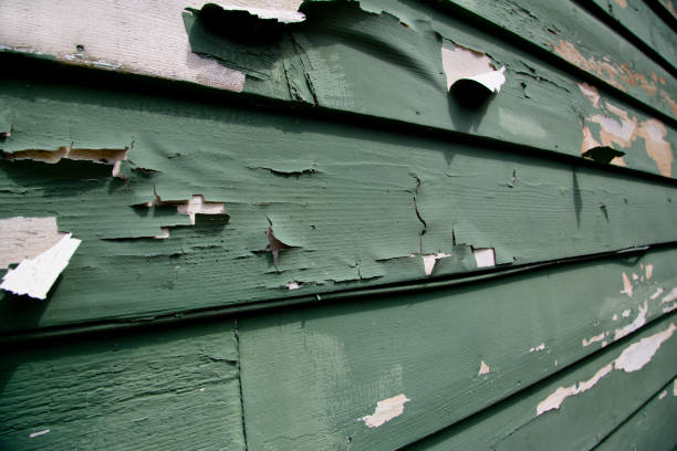 Best Historical Building Siding Restoration  in Idylwood, VA