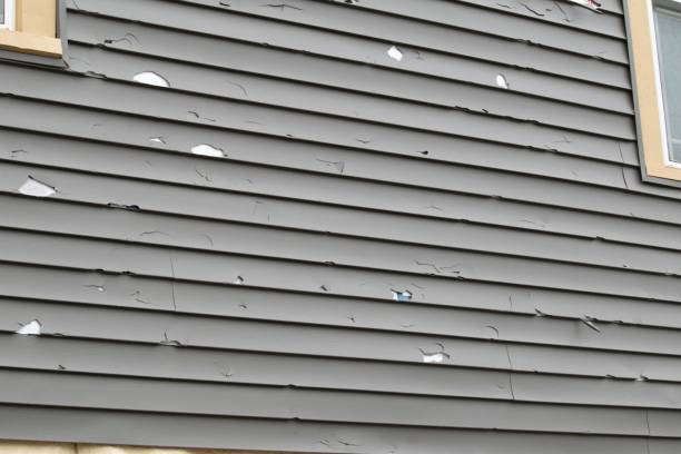 Best Residential Vinyl Siding Installation  in Idylwood, VA