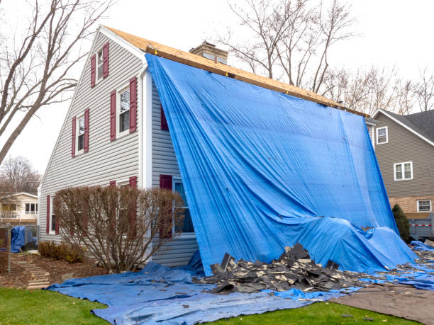 Best Weatherproofing and Sealing  in Idylwood, VA