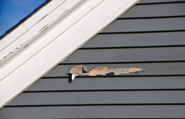 Best Fiber Cement Siding Installation  in Idylwood, VA