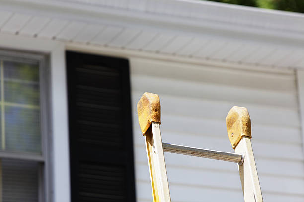 Best Siding Removal and Disposal  in Idylwood, VA